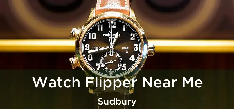  Watch Flipper Near Me Sudbury